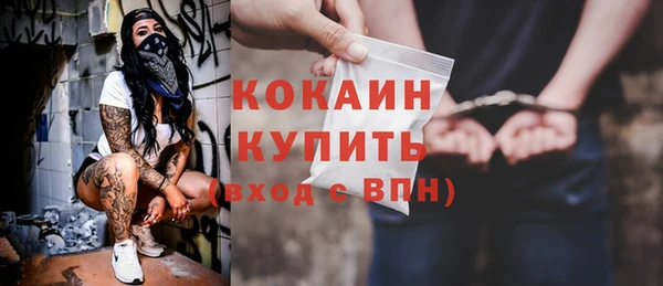 не бодяженный Бородино