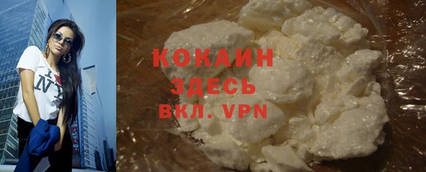 не бодяженный Бородино