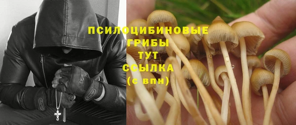 ешки Бугульма