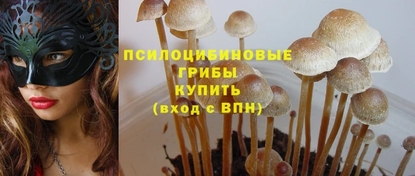 ешки Бугульма