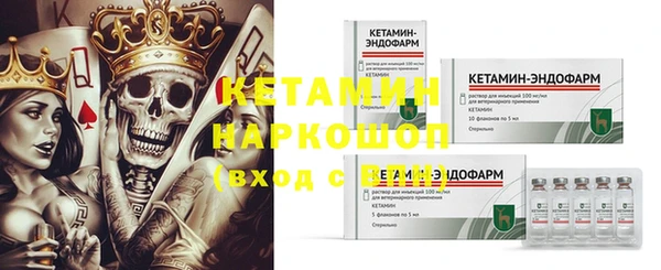 не бодяженный Бородино